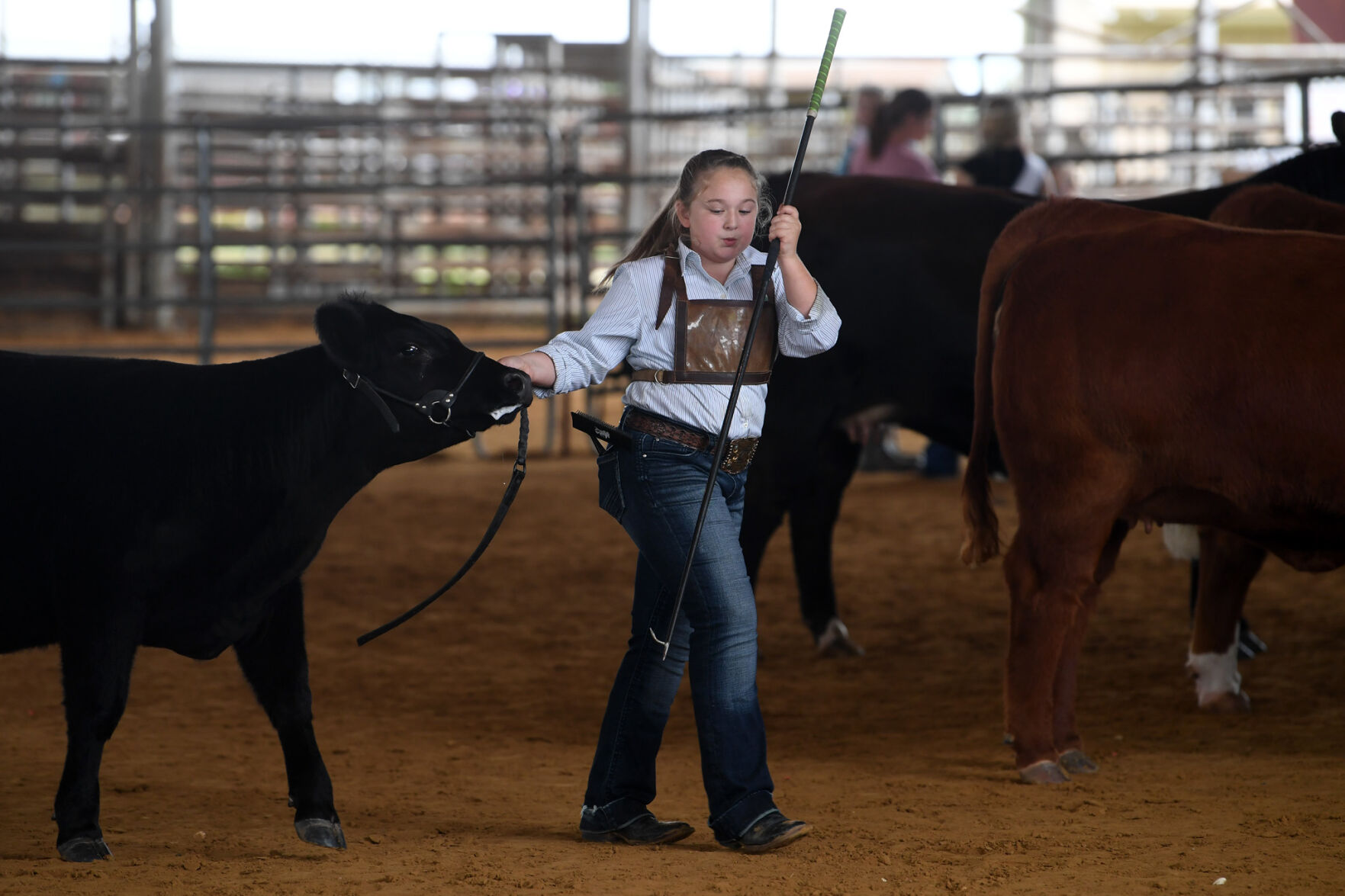 Burleson County Fair